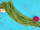 Hot Summer Garden Heirloom Seed Collection Gift Set