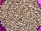 Pigeon Peas aka Guandules Seeds
