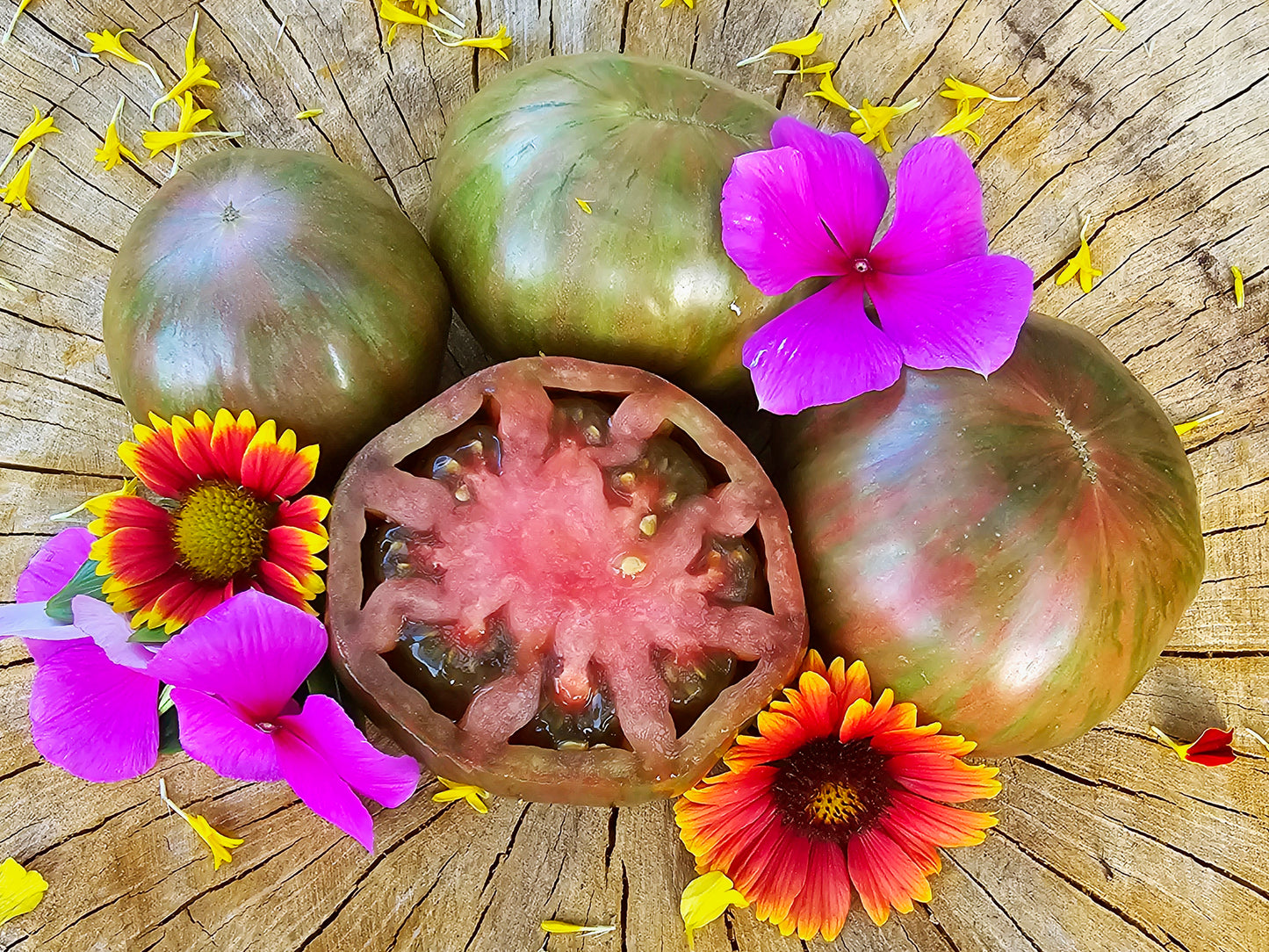 Pink Berkeley Tie Dye Tomato Seeds