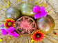 Pink Berkeley Tie Dye Tomato Seeds