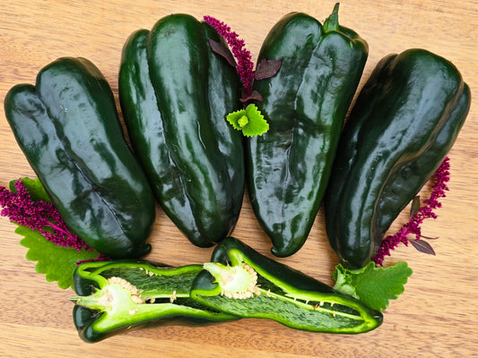 Poblano aka Ancho Chile Pepper Seeds