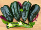Poblano aka Ancho Chile Pepper Seeds