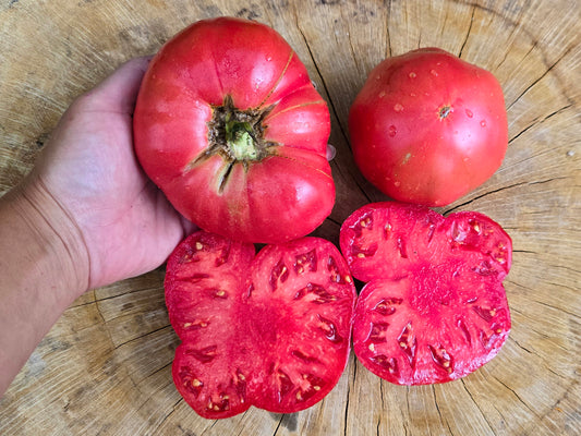 Polish Beefsteak Tomato Seeds