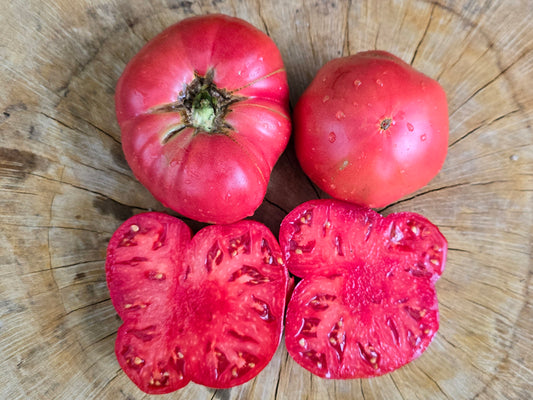 Polish Beefsteak Tomato Seeds