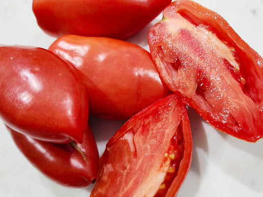 Polish Linguisa Heirloom Tomato Seeds