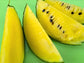 Rare Pony Yellow F1 Yellow Watermelon Seeds