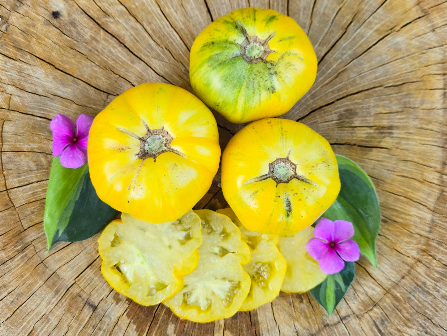 Pork Chop Yellow Beefsteak Tomato Seeds