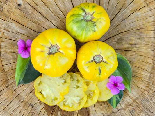 Pork Chop Yellow Beefsteak Tomato Seeds