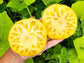 Pork Chop Yellow Beefsteak Tomato Seeds