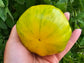 Pork Chop Yellow Beefsteak Tomato Seeds