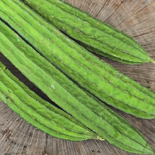 Bonanza Extra Long Angled Luffa Seeds
