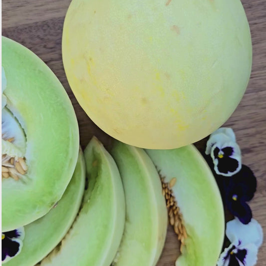 Green Flesh Honeydew Melon Seeds