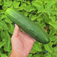 Straight Eight Market Cucumber Seeds