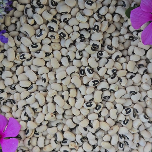 California Black-Eye Pea #5 Seeds