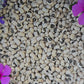 California Black-Eye Pea #5 Seeds