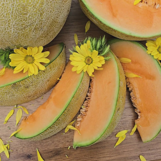 Hearts of Gold Cantaloupe Seeds