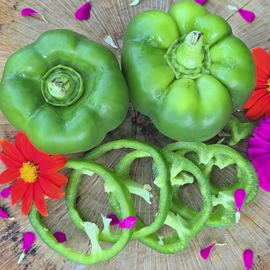 Emerald Giant Green Sweet Bell Pepper Seeds