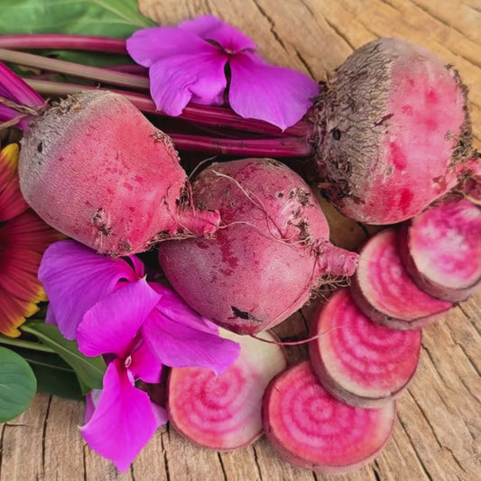Chioggia Beet Seeds