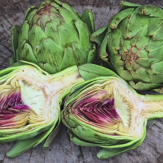 Green Globe Artichoke Garden Vegetable Seeds
