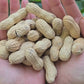 Tennessee Red Peanut Seeds