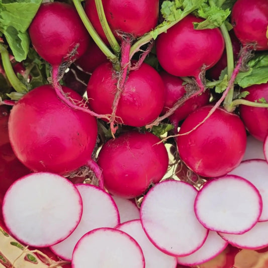 Cherry Belle Radish Seeds