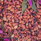 Rare Wild Jungle Peanut Seeds