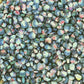 Oaxacan Green Dent Corn Seeds
