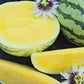 Yellow Petite Watermelon Seeds
