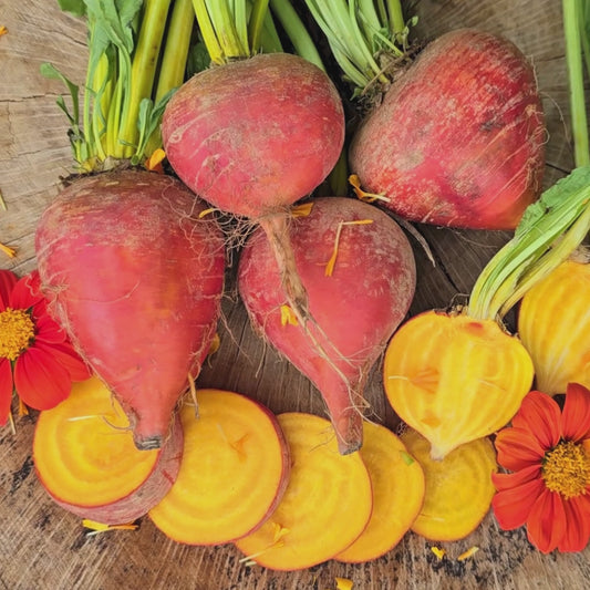 Golden Beet Seeds