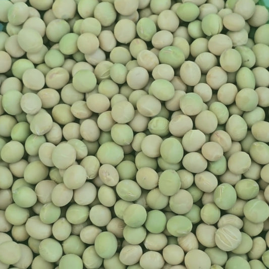 Karikachi No. 3 Soybean Seeds