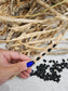 Puerto Rican Black Vining Bean Seeds