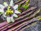 Green or Purple Asparagus Crowns