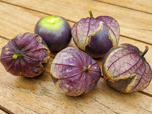 Purple Tomatillo Seeds