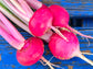 Red Round Turnip Seeds
