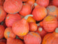 Red Kuri Japanese Squash Seeds
