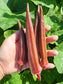 Red Burgundy Okra Seeds