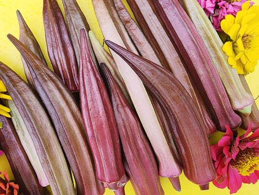 Red Burgundy Okra Seeds