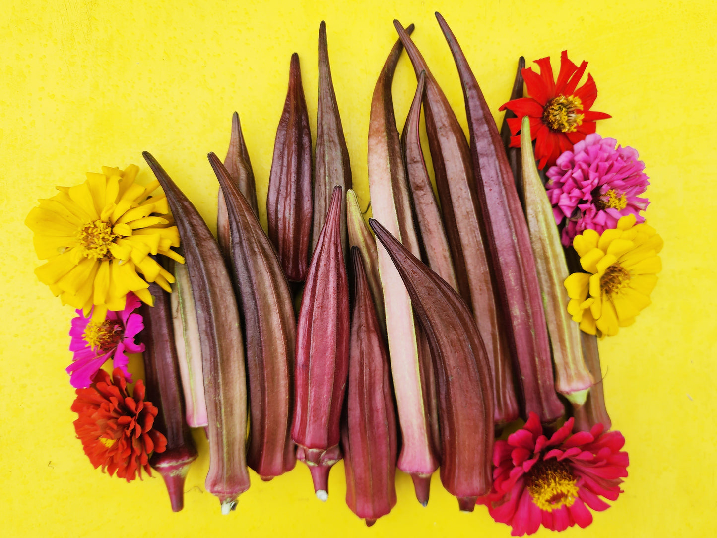 Red Burgundy Okra Seeds