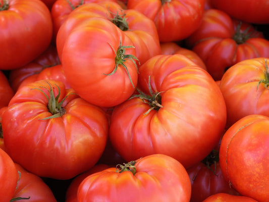 Brandywine Beefsteak Tomato Seeds