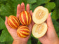 Rich Sweetness Mini Melon Seeds
