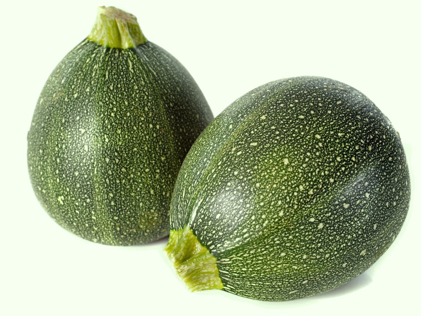 Round Zucchini Summer Squash Seeds