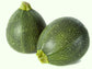 Round Zucchini Summer Squash Seeds