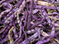 Royal Burgundy Bean Seeds