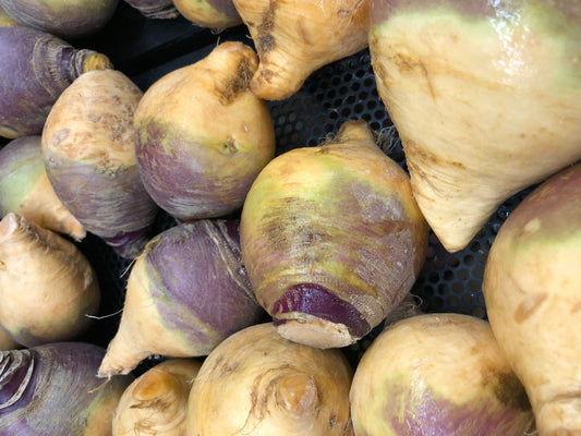 American Purple Top Rutabaga Seeds