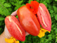 San Marzano Redorta Tomato Seeds