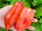 San Marzano Redorta Tomato Seeds