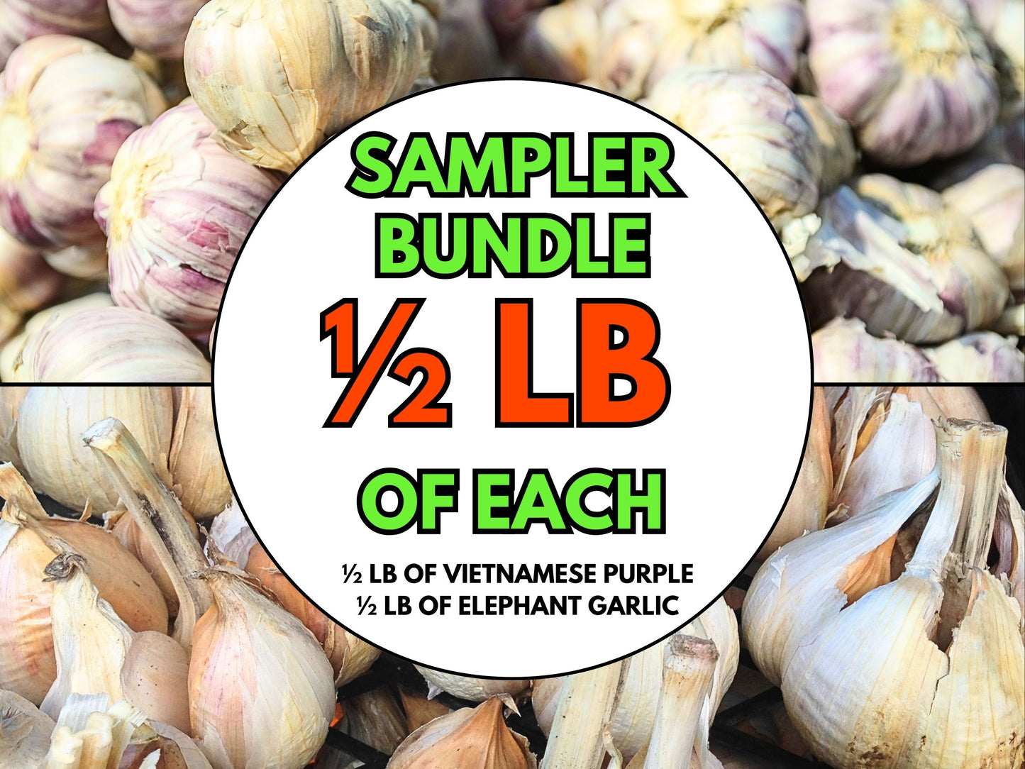 🧄 PRESALE – Vietnamese Purple & Elephant Garlic | Ships September 2026 | Grow Your Own Gourmet Garlic