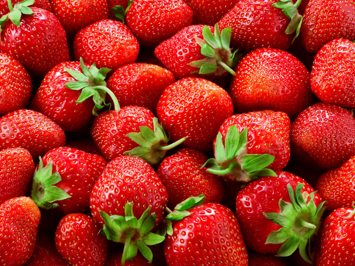 Strawberry Bare Roots - PRE SALE Bundle of 25 Bare Roots