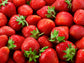 Strawberry Bare Roots - PRE SALE Bundle of 25 Bare Roots