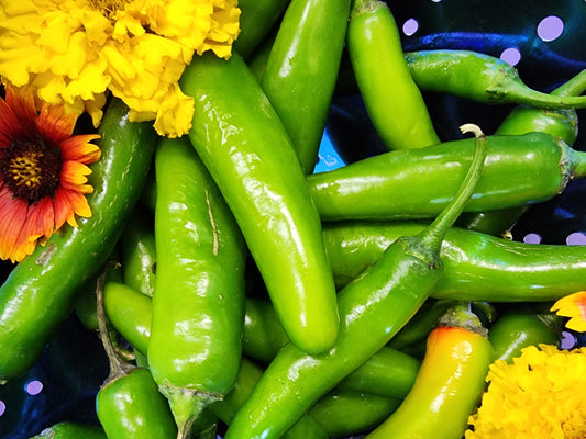 Serrano Hot Chile Peppers